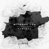 Without You (Remixes) featuring サンドロ・カヴァッザ