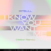 I Know You Want Me (Calle Ocho) (Helion Remix)