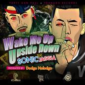 Wake Me Up Upside Down feat. JAGGLA