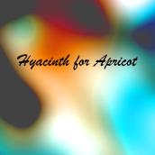 Hyacinth for Apricot