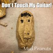 Don't Touch My Guitar!
