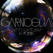 GARNiDELiA ～リスアニ！LIVE 2017 in 武道館～