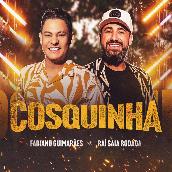 Cosquinha featuring Rai Saia Rodada