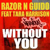 Without You (feat. Tara Harrison)