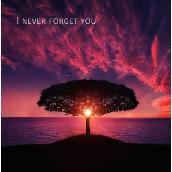 I never forget you