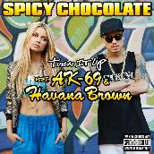 Turn It Up feat. AK-69 & Havana Brown