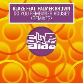 Do You Remember House? (feat. Palmer Brown) [Remixes]