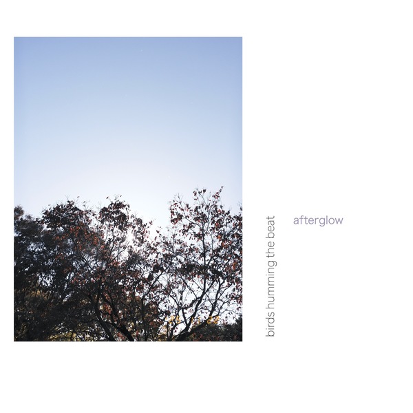 MUGAMICHILL ムガミチル Birds CD birds humming the beat「afterglow」| mu-mo（ミュゥモ）