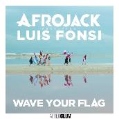 Wave Your Flag featuring ルイス・フォンシ