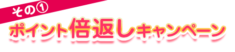 その① ポイント倍返しキャンペーン