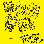PRINCESS PRINCESS PANIC TOUR “HERE WE ARE”
