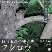フクロウ 眠れる森の鳴き声 - 自然音×睡眠