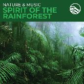 Nature & Music: Spirit Of The Rainforest