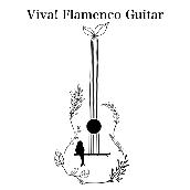 Viva! Flamenco Guitar