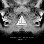 Hey Lion (Tom & Collins Remix)