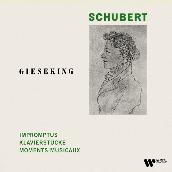 Schubert: Impromptus, Klavierstucke & Moments musicaux