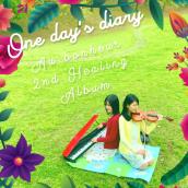 One day's diary