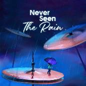 Never Seen The Rain