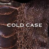 COLD CASE ( lipper )