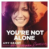 You’re Not Alone (Remixes) featuring Guy Scheiman