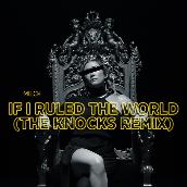 If I Ruled The World (The Knocks Remix)