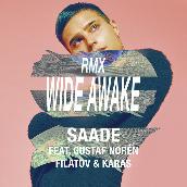 Wide Awake (feat. Gustaf Noren & Filatov & Karas) [Red Mix]