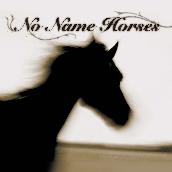 No Name Horses