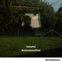 {siesta}/Reincarnation