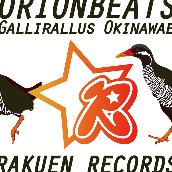 Gallirallus Okinawae