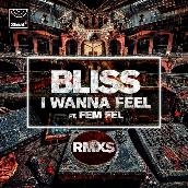 I Wanna Feel (Remixes) featuring Fem Fel