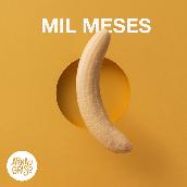 Mil Meses (Acustico)