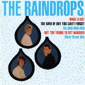 The Raindrops [Digital Version]