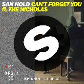 Can't Forget You (feat. The Nicholas)