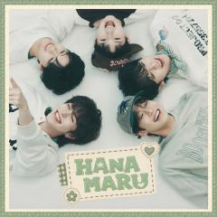 VIBY「HANAMARU Korean ver.」