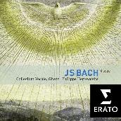 Bach: Masses, BWV 233 - 235 & Sanctus, BWV 238