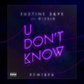 U Don’t Know (Remixes) featuring WizKid