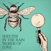 SHELTER IN THE RAIN / WORDS OF LOVE