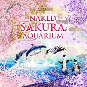 NAKED SAKURA AQUARIUM(オリジナルサウンドトラック)