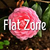 Flat Zone