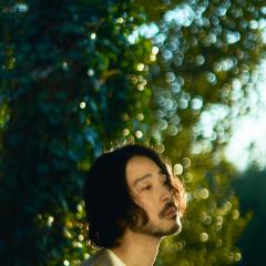 大橋トリオ「Day of the green」