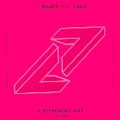 A Different Way (Kayzo Remix) featuring ラウヴ