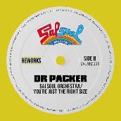 You're Just The Right Size (Dr Packer Rework)