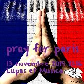 Pray for Paris (Gray Wolf,Pianobebe)