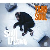 Soul Dreamer