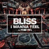 I Wanna Feel featuring Fem Fel