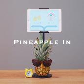 Pineapple In