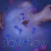 Slow Flow