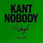Kant Nobody featuring DMX