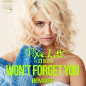 Won't Forget You (Remixes) featuring Stylo G