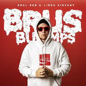 Brus Bumps